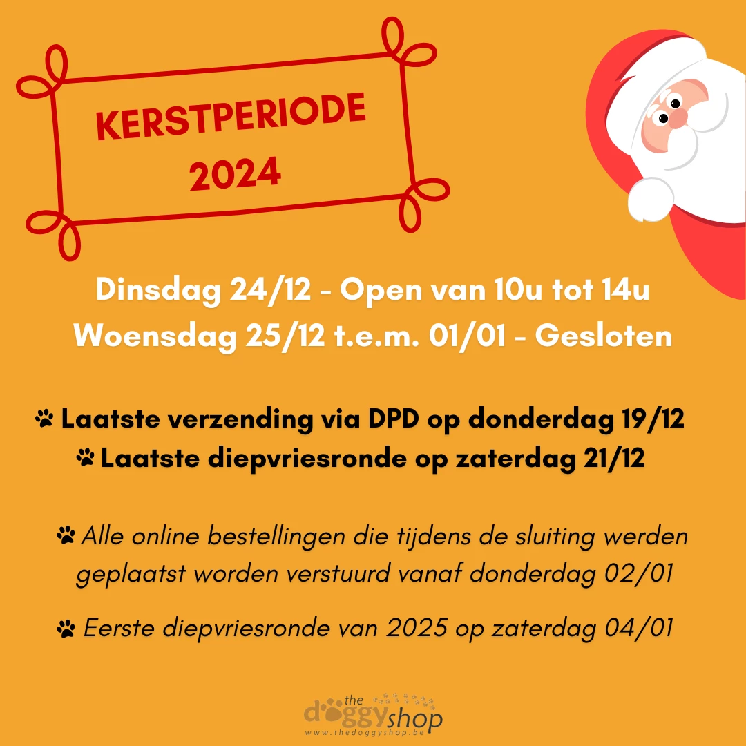 Kerst 2024